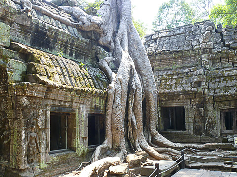 angkor