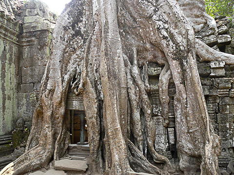 angkor