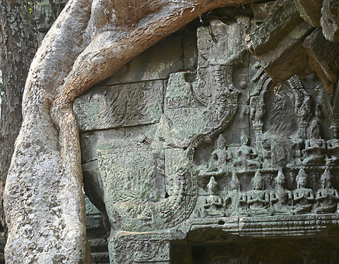 angkor