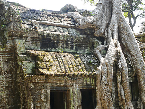 angkor