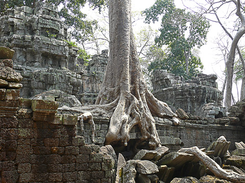 angkor