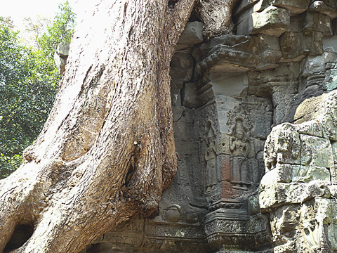 angkor