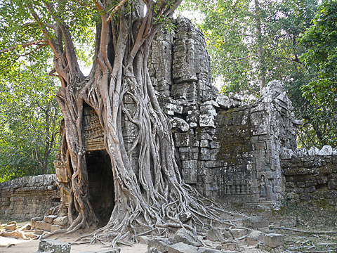 angkor