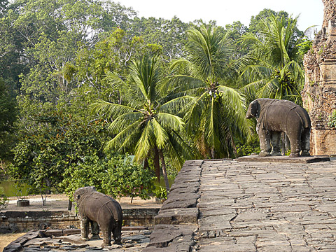 angkor