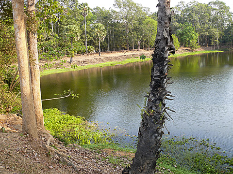 angkor