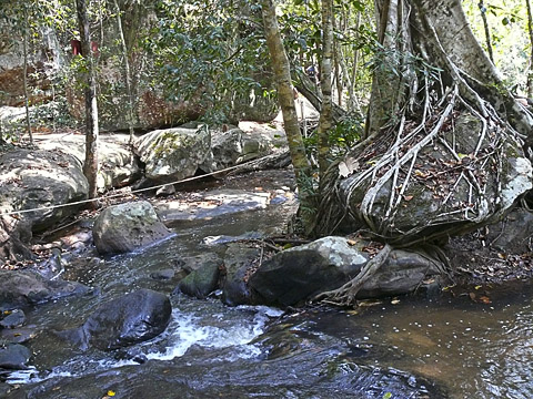 angkor