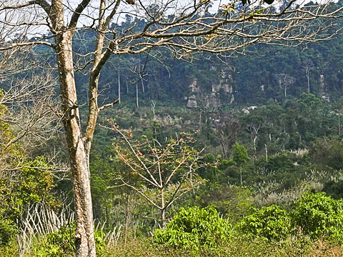 angkor