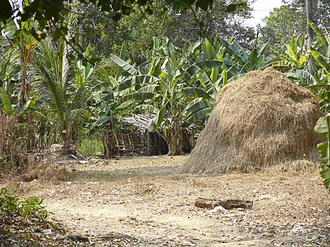 angkor