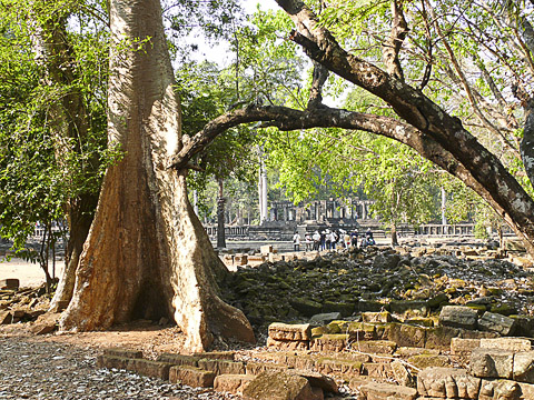 angkor