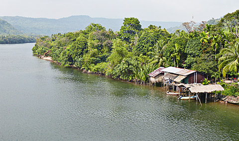 cardamom mountains