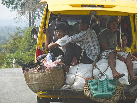 cardamom mountains