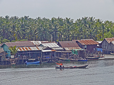 cardamom mountains