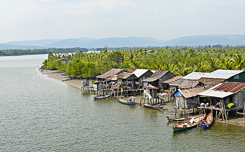 cardamom mountains