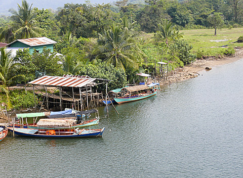 cardamom mountains