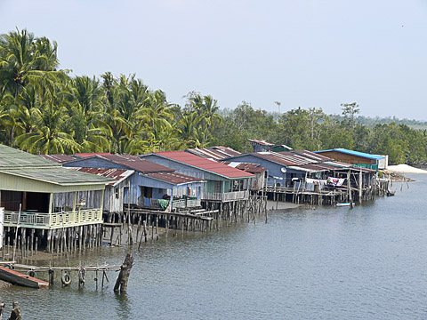 cardamom mountains