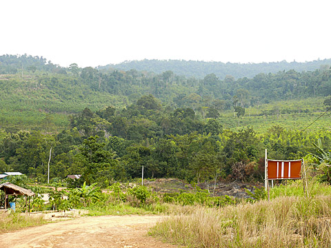 cardamom mountains