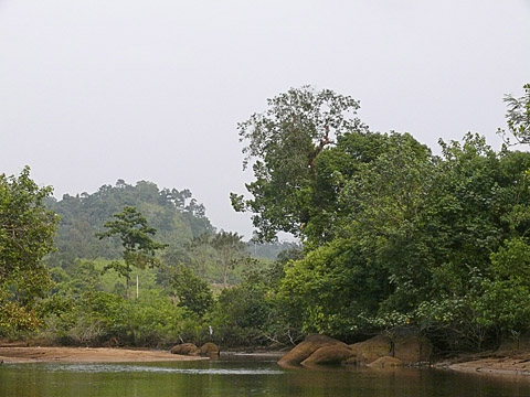 cardamom mountains