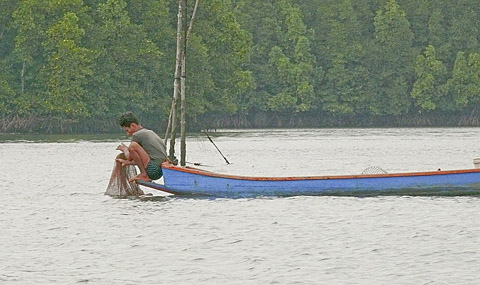 cardamom mountains