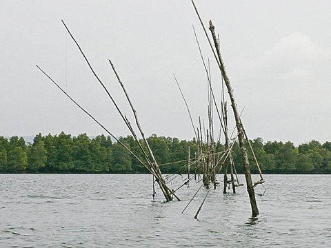 cardamom mountains