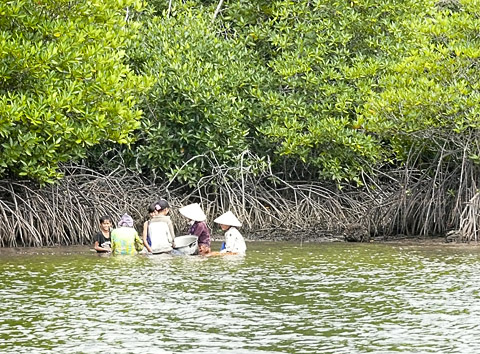 cardamom mountains