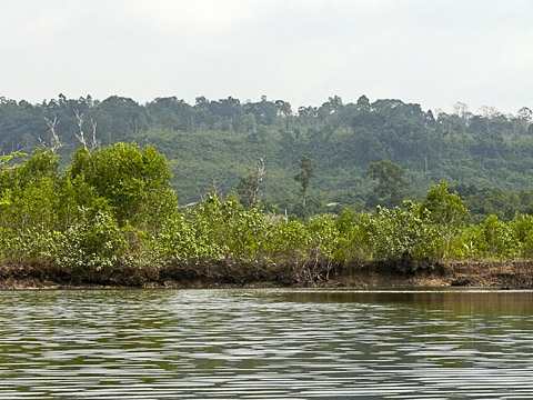 cardamom mountains