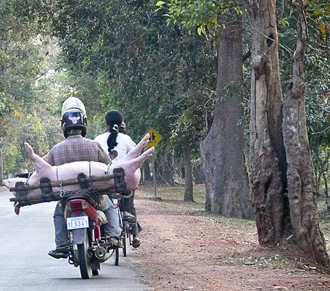 siem reap