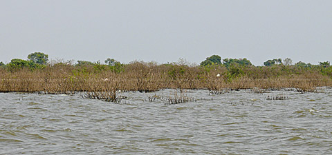 tonle sap