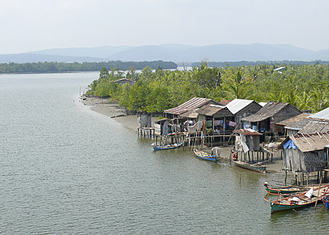 cardamom mountains