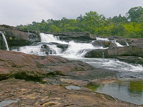 cardamom mountains