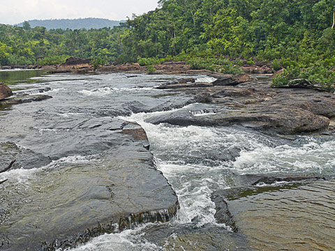 cardamom mountains