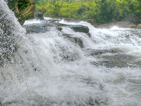 cardamom mountains