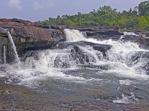 cardamom mountains