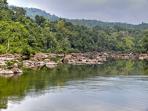 cardamom mountains