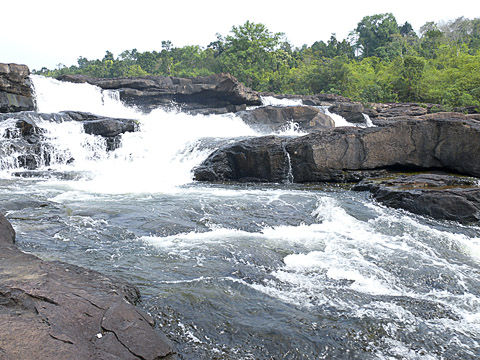 cardamom mountains