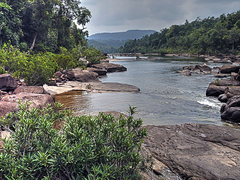 cardamom mountains