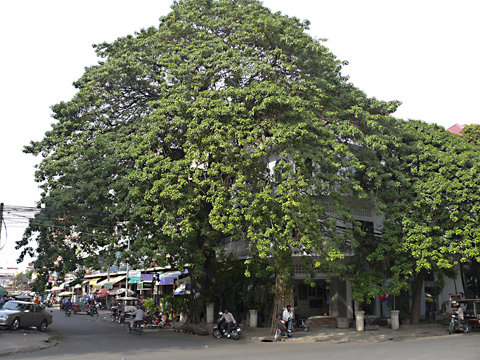 Phnom Penh