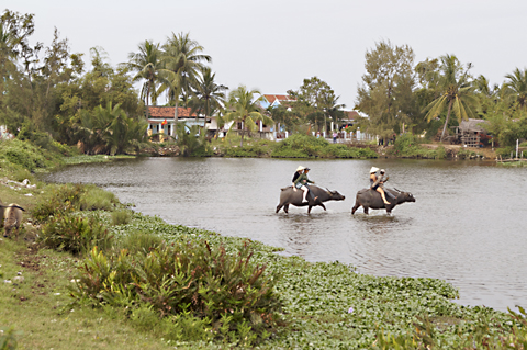 hoian