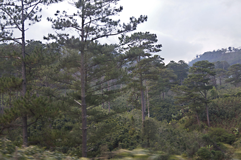 DaLat