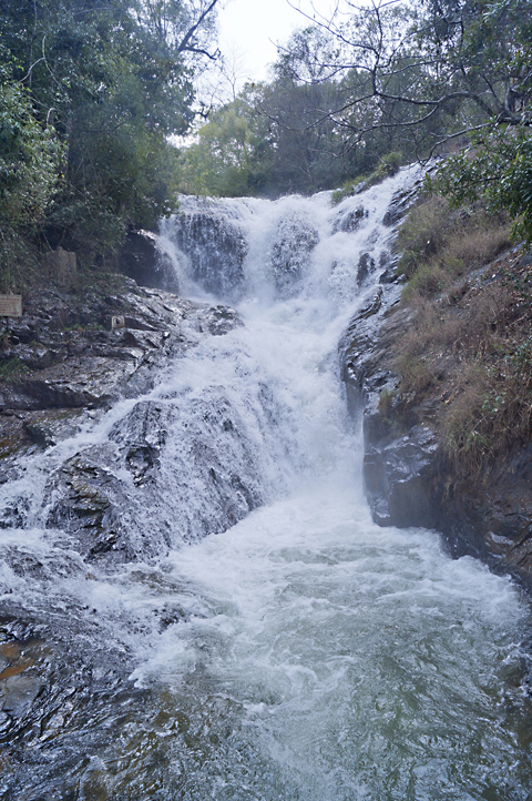 DaLat